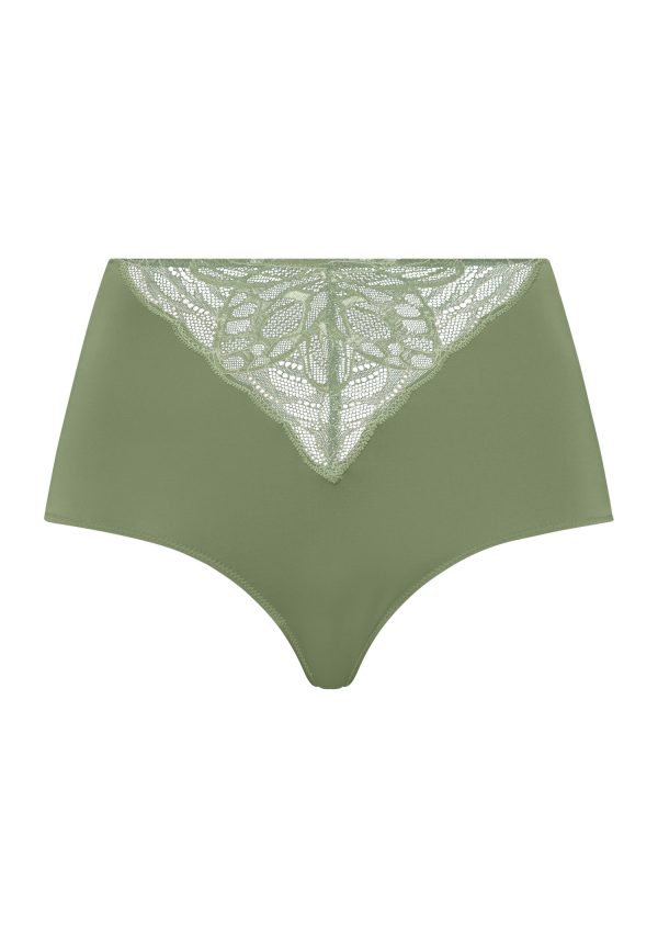 Elia Full Brief